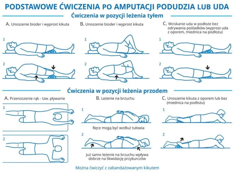 Jak często ćwiczyć? Odkryj zalecenia WHO i plany dopasowane do Twoich celów